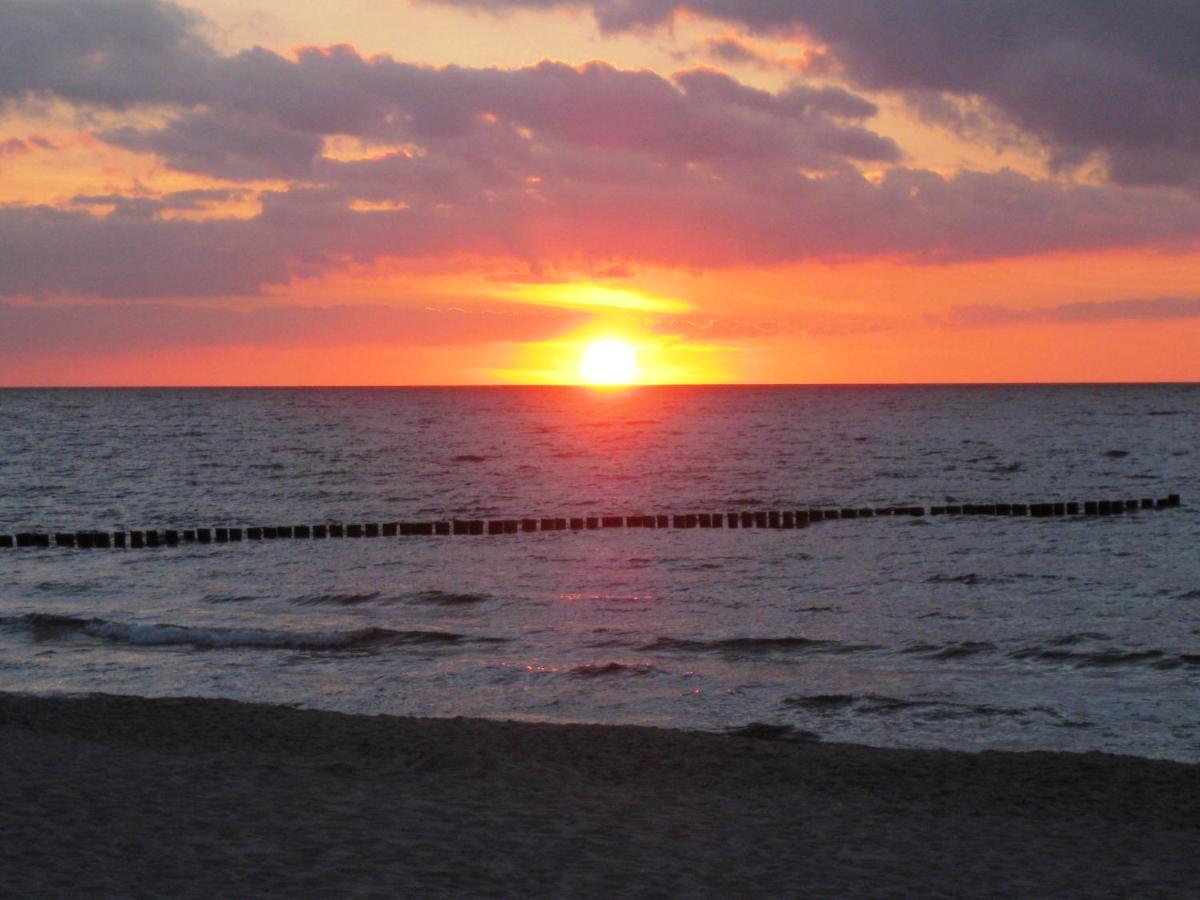 Residenz Am Strand Wohnung 1-17 Zingst Buitenkant foto